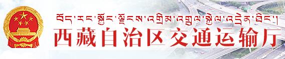 西藏个人驾驶证分查询