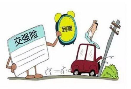 交强险什么时候交