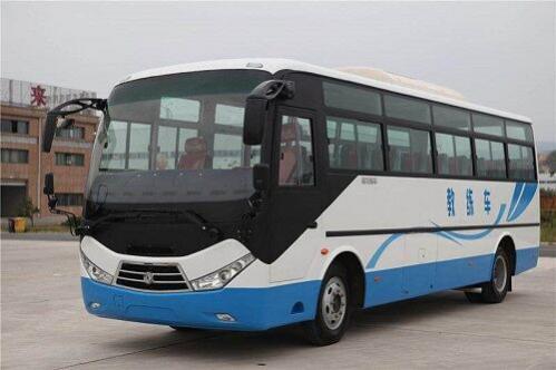 a1驾照报考条件