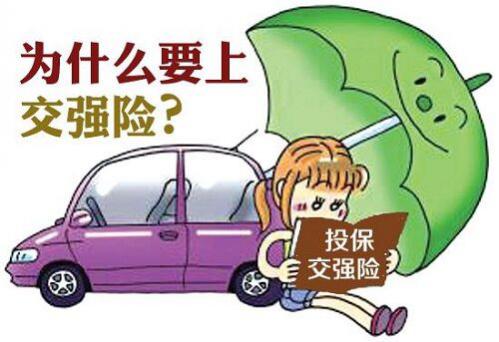 什么叫交强险