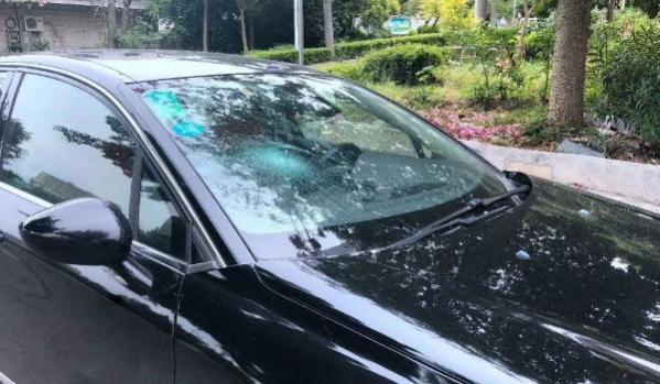 汽车全险包括哪些险种,今年车险车损险包括什么