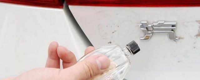 如何扣掉汽车后面的字母,如何扣掉汽车后面的字而不留痕迹?