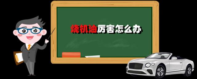 如何解决汽车烧机油的问题?,发动机烧机油解决办法