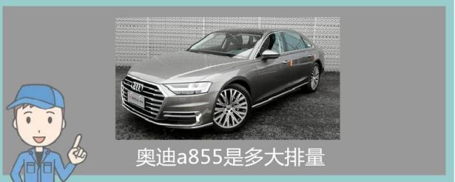 奥迪a855是多大排量,奥迪a8550是多大排量