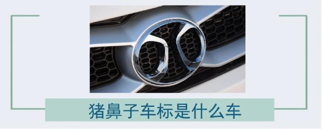 猪鼻子一样的车标,像猪鼻子的车标