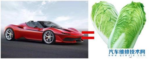 怎么把白菜变成花
