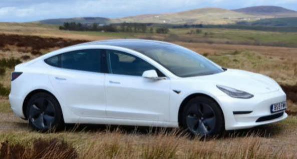 model y 保费(Model Y保险费用是多少)