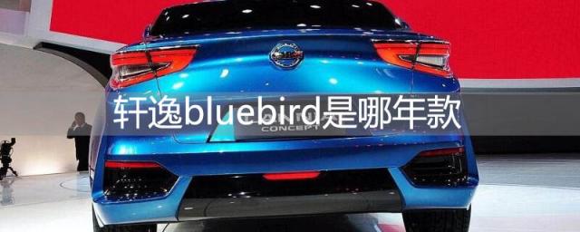 尼桑轩逸bluebird老款,bluebird轩逸和轩逸的区别