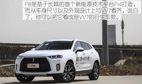 weyp8油耗,weyp8油耗实测