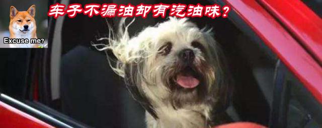 不漏油但车内有汽油味怎么处理,不漏油但车内有汽油味会自燃吗