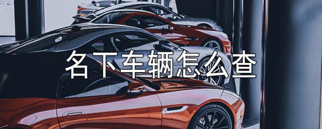 输身份证查名下车辆有车吗,输身份证查名下车辆可以有几辆车