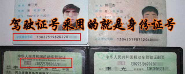 查个人驾驶证信息查询,驾驶证号是不是身份证号一样