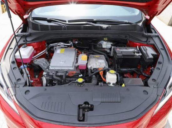 不系安全带会扣分罚款吗?,副驾驶不带安全带扣分吗