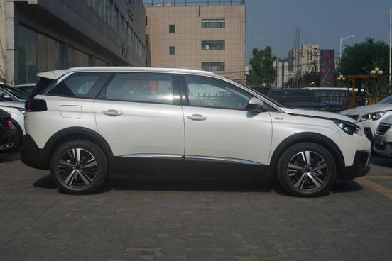 DS车标是什么车(中间一个马的车标)