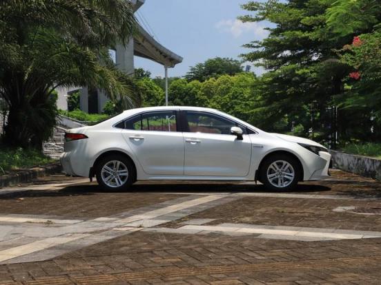 alfaromeo是什么车标志(大众车标的vw是什么意思)